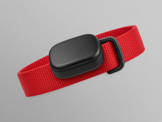 Traceur GPS noir compact clipsé sur un collier en nylon rouge pour chien