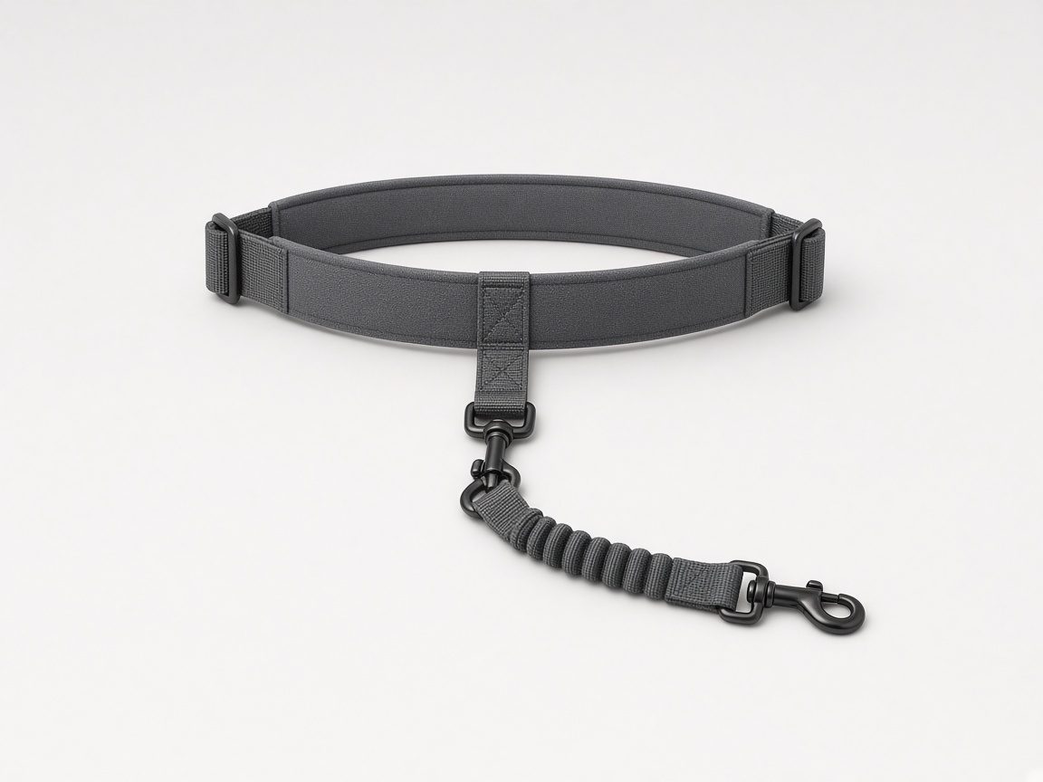 Laisse mains libres avec ceinture
